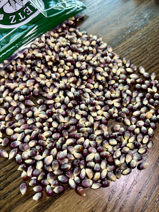 Tietz Family Farms - Shaman Blue Seeds