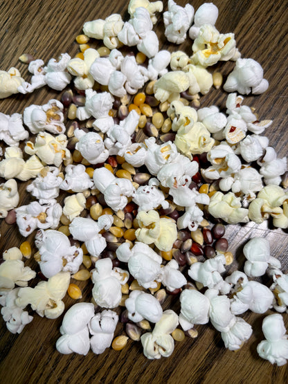 Tietz Family Farms - Calico Seeds