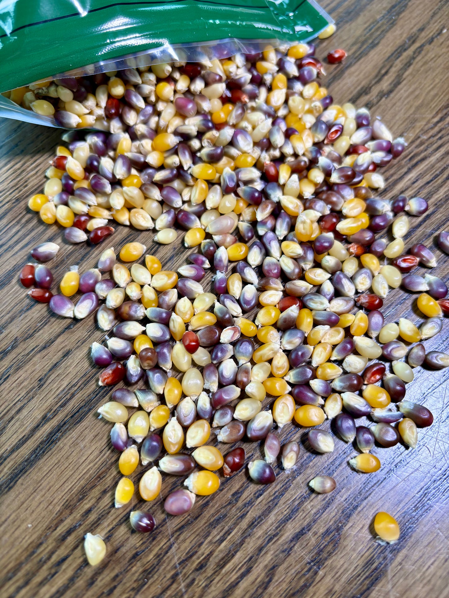 Tietz Family Farms - Calico Seeds