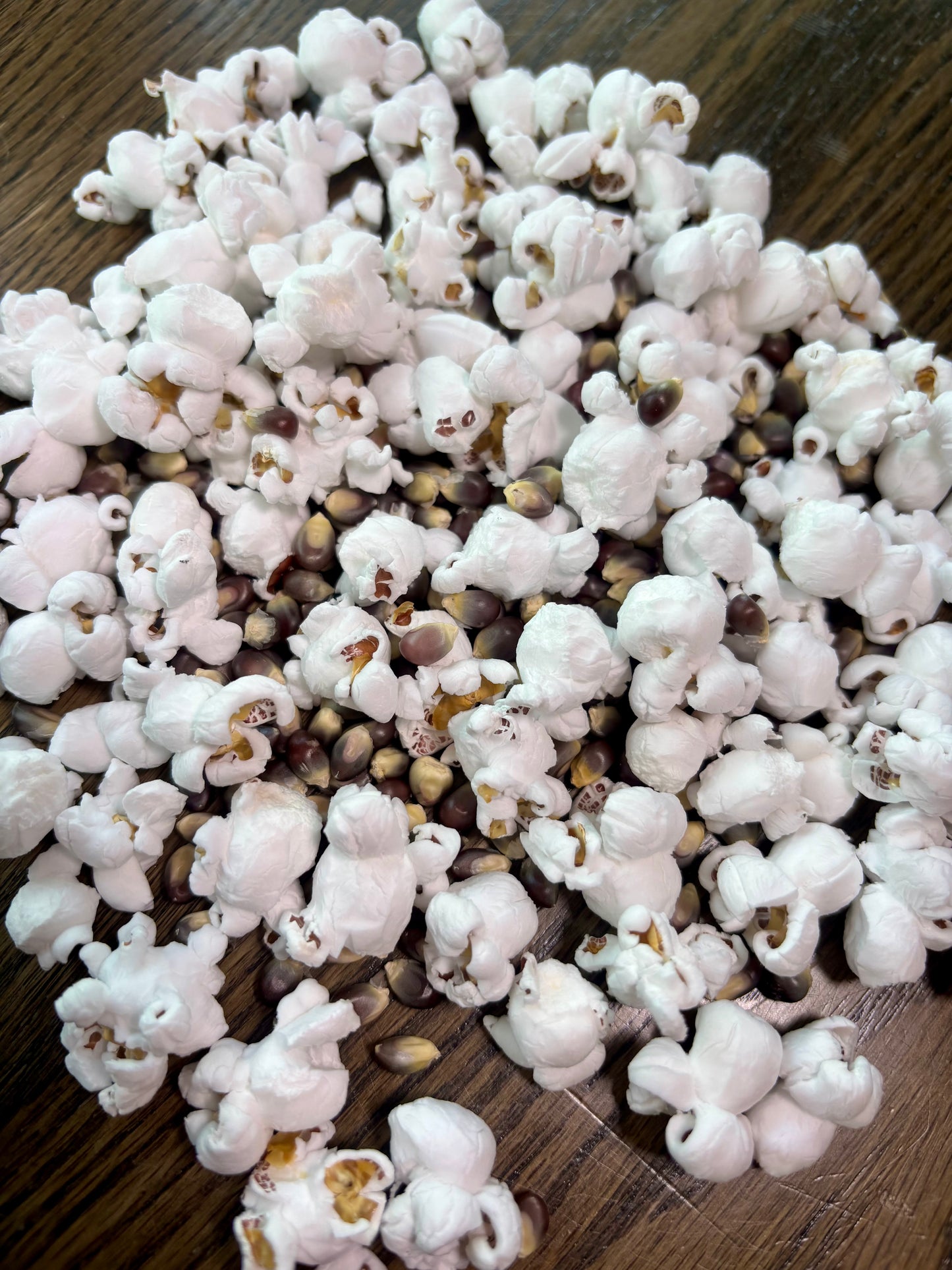 Tietz Family Farms - Shaman Blue Seeds