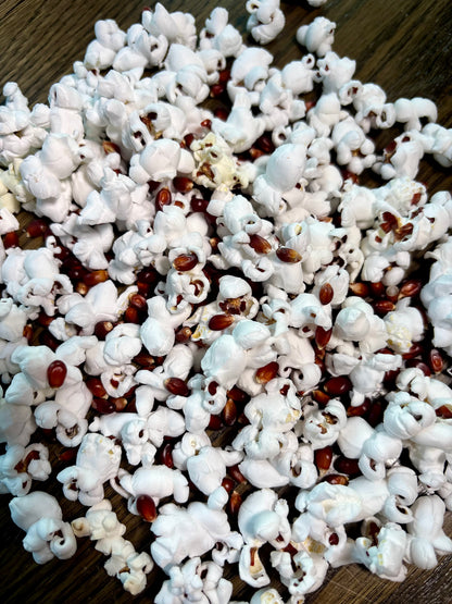 Tietz Family Farms - Ruby Red Seeds